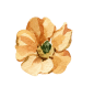 /small-flower1.png