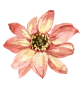 /small-flower4.png